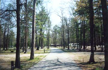 Camping at the State Park